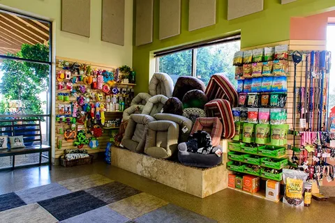Pet Store Dubai Mall